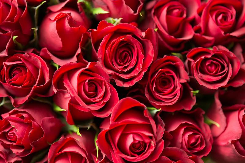 Codici Sconto San Valentino 2025